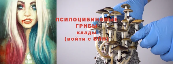 apvp Абаза