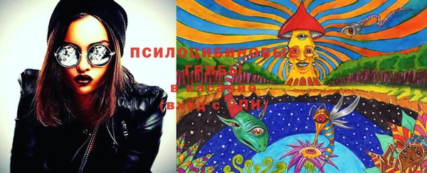 экстази Новокубанск