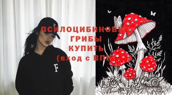 apvp Абаза