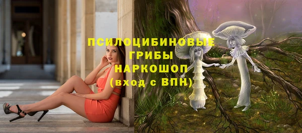 apvp Абаза